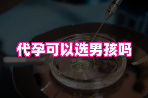 河南助孕网站 2