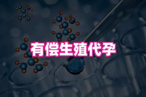 河南助孕网站 3