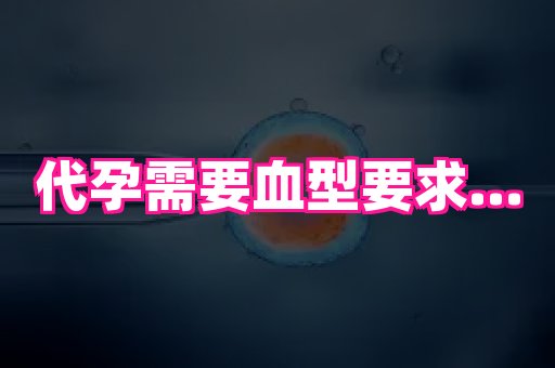 河南助孕网站 4